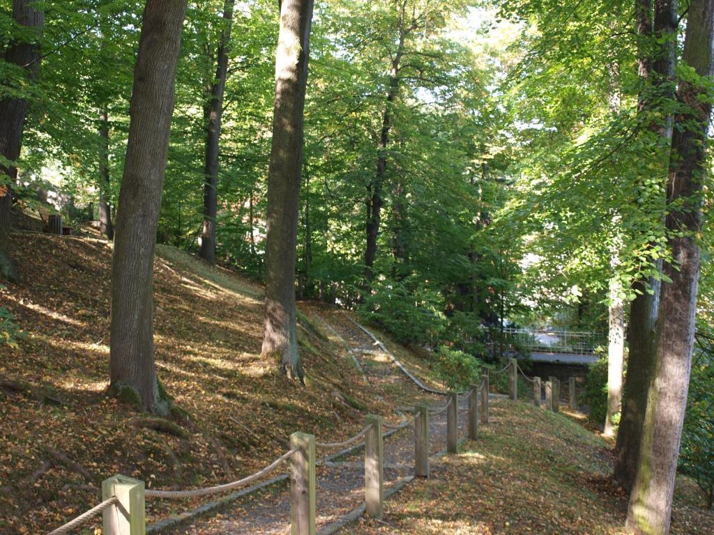 Hotel Saechsisches Haus Berggiesshübel Exteriér fotografie